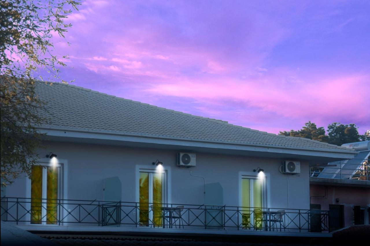 Ariadni Apartments Dassia المظهر الخارجي الصورة